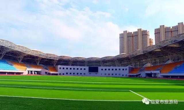 牡丹杯锦标赛,第二届牡丹杯