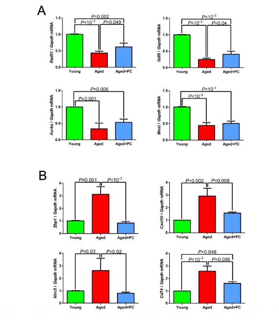 虾青素可以治疗卵巢早衰吗,蛋白粉对卵巢早衰有帮助吗