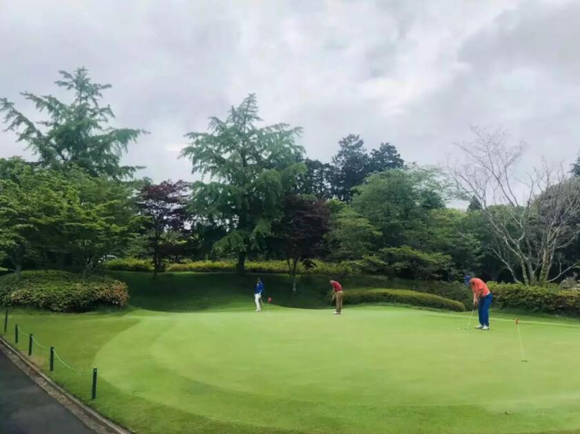 游记｜来自香港、上海、深圳的7位贵宾：挥杆关东世界百佳...