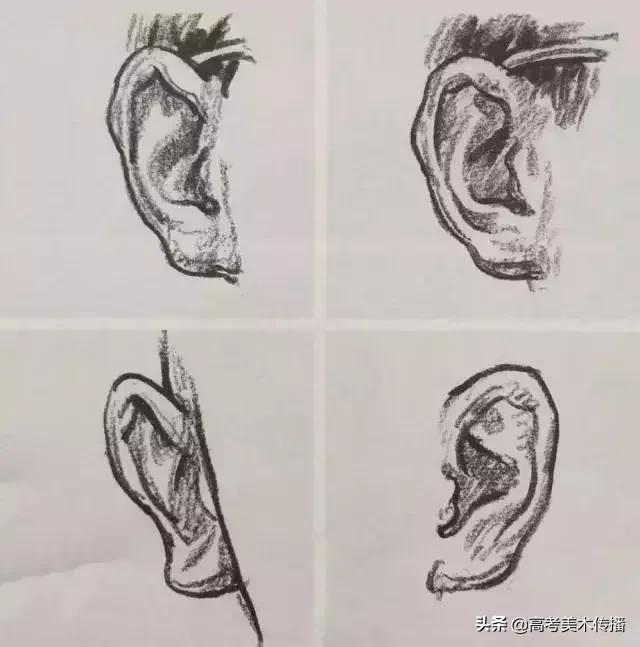 速写五官技法,速写五官的画法精讲