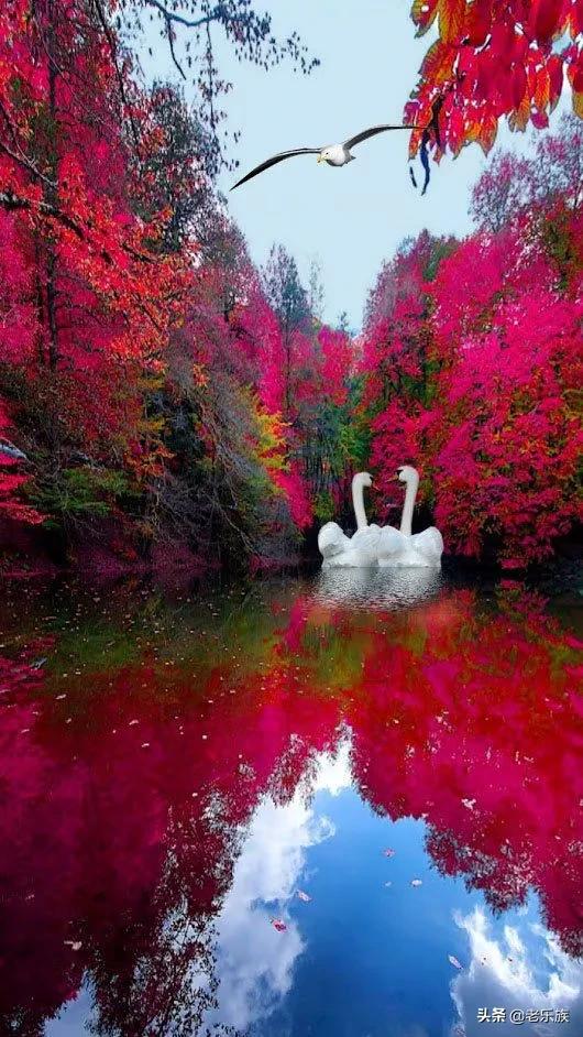 离退休之后一定要停止做这八件事,离退休人员必须知道的条件