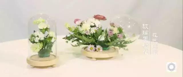 插花花枝怎么修,拯救枯萎蝴蝶兰