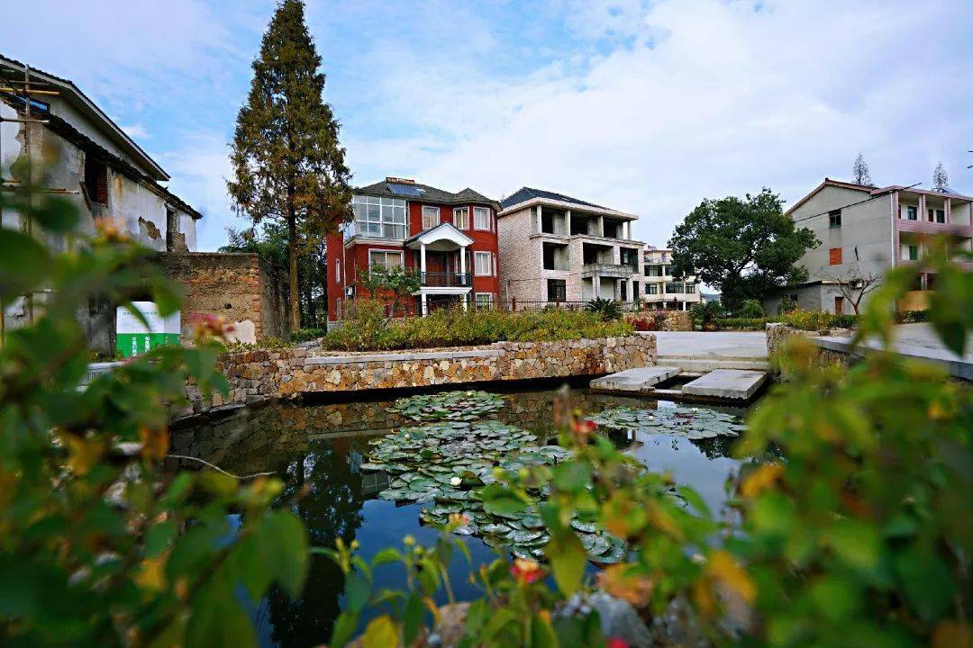 浙江的农村为何给人富裕的感觉,浙江农村富裕视频