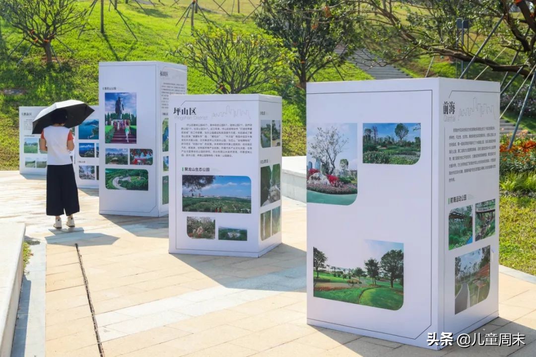 深圳中心公园足球场,深圳中心公园大草坪