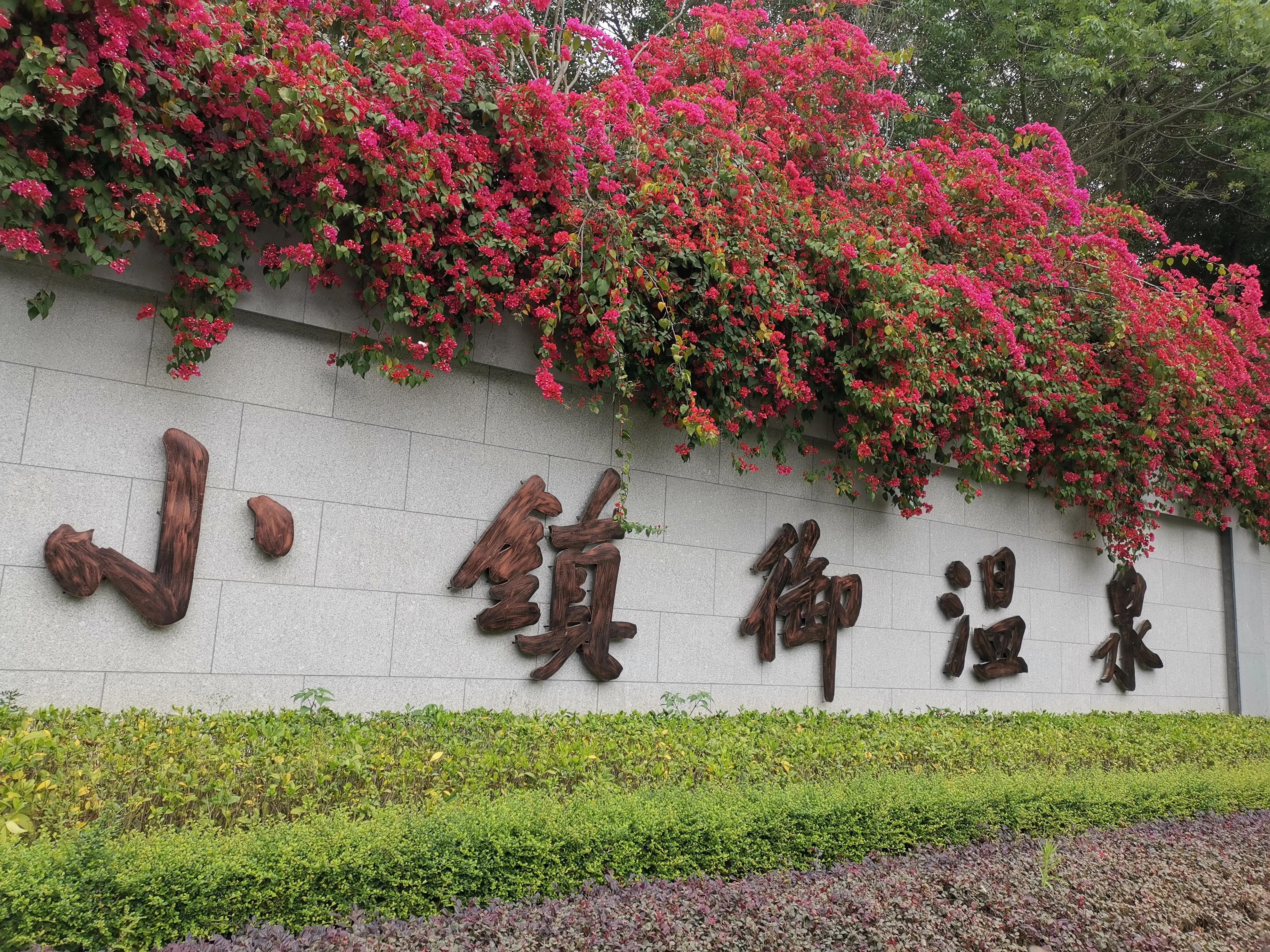 濮戝珎鏃呰璁板綍,濮戝珎鏃呰鏃ヨ