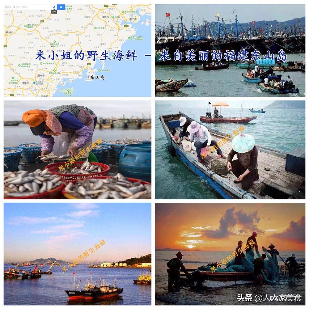 金鲳鱼的养殖条件有哪些呢,金鲳鱼和银鲳鱼哪一个可以养殖