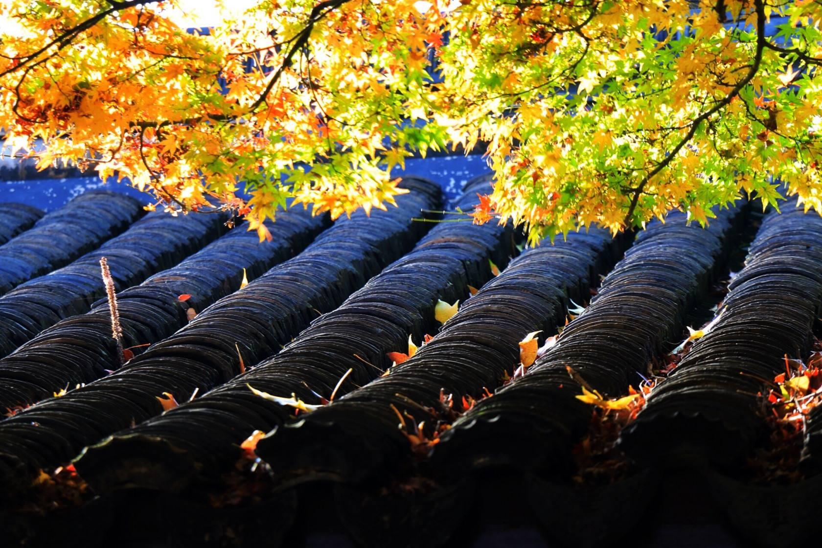 元曲最经典的一首诗,元曲最经典的十首诗