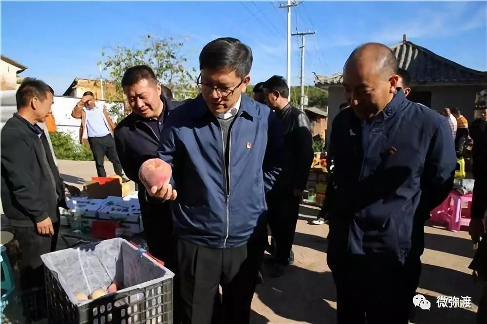 冬桃挑起农特“群英汇”，雾本丰收季电商很给力