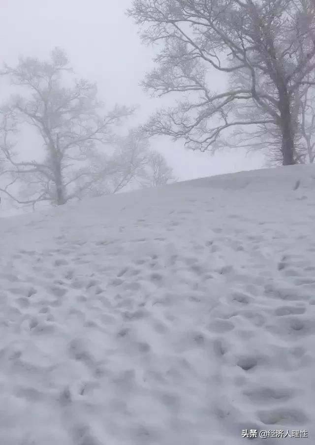 日本一个岛国为什么经济这么强,日本一个岛国为什么如此强