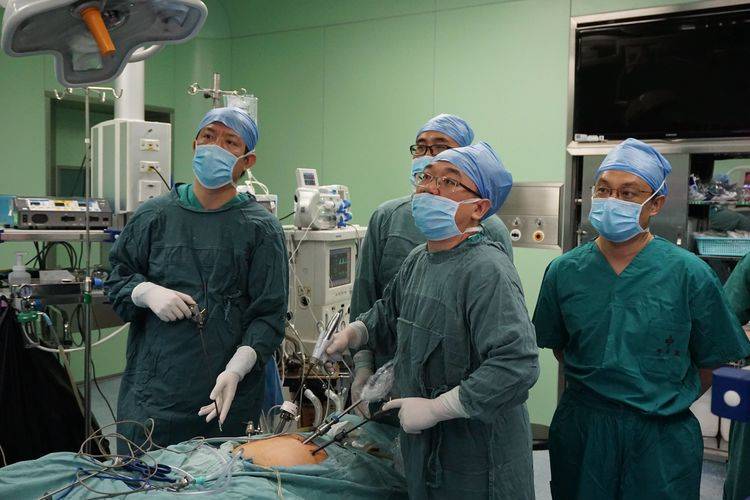 全国第27届泌尿外科学术会议,2024年全国泌尿外科年会