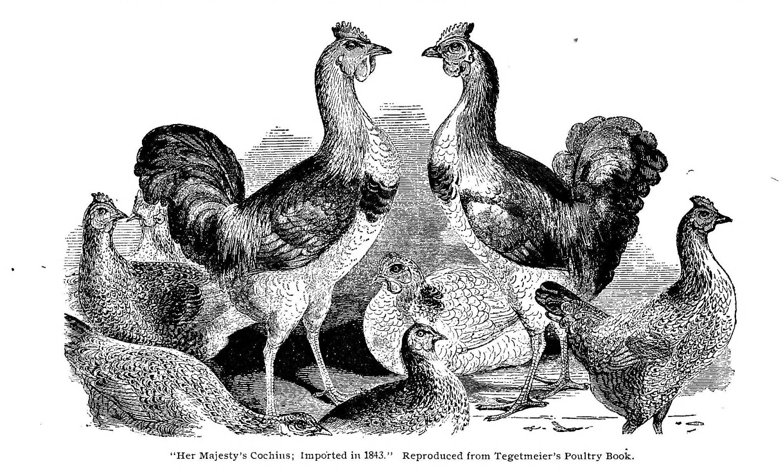 <html>
<head><title>502BadGateway</title></head>
<body>
<center><h1>502BadGateway</h1></center>
<hr><center>nginx</center>
</body>
</html>
<!--apaddingtodisableMSIEandChromefriendlyerrorpage-->
<!--apaddingtodisableMSIEandChromefriendlyerrorpage-->
<!--apaddingtodisableMSIEandChromefriendlyerrorpage-->
<!--apaddingtodisableMSIEandChromefriendlyerrorpage-->
<!--apaddingtodisableMSIEandChromefriendlyerrorpage-->
<!--apaddingtodisableMSIEandChromefriendlyerrorpage-->
