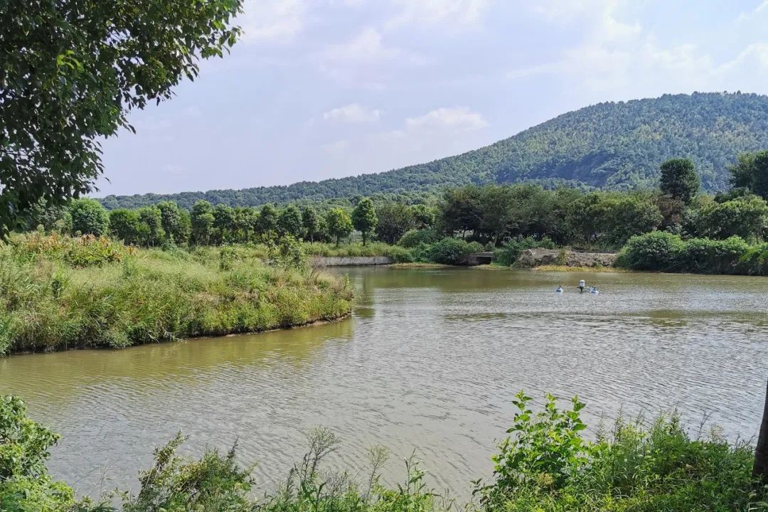 羡慕!快来看看江阴申港街道这些“美丽”榜样