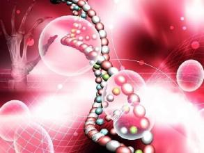 过敏性紫癜肾炎饮食上注意什么,吸入性的过敏性紫癜要注意什么