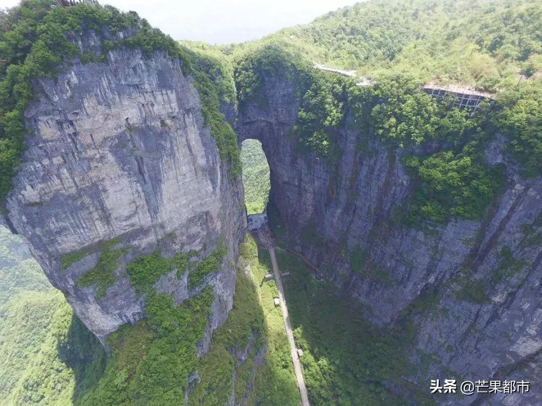 990米峡谷险峰翼装飞行、世界级大咖齐聚桥牌公开赛…湖南都市现场直播