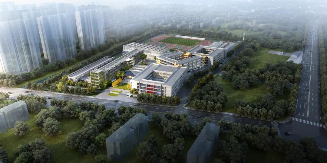 新学校对城市的影响,新建学校给片区带来了什么