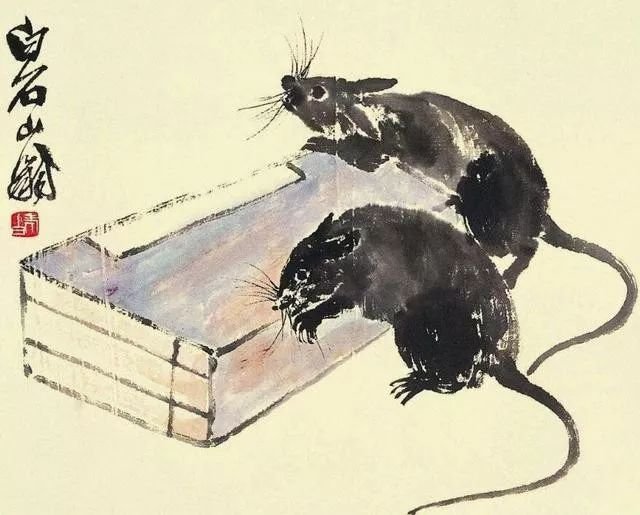 庚子年属鼠的怎么度过,关于庚子鼠年你应该知道的事儿