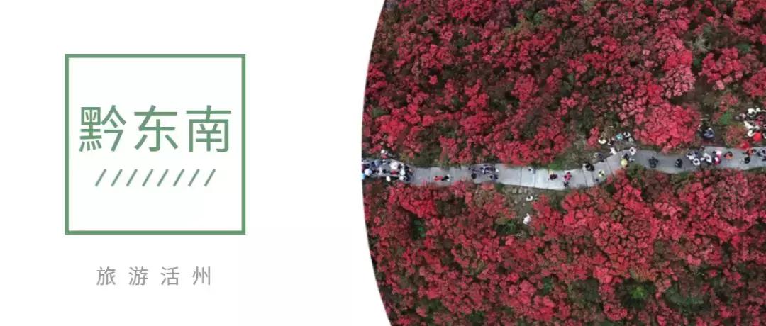 近年贵州省财政收入增长率,黔东南全年财政收入多少