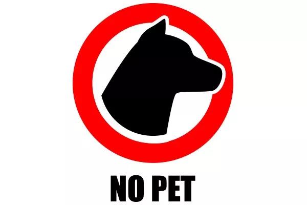 泰国酒店为什么不让带榴莲,为什么泰国酒店不让带榴莲