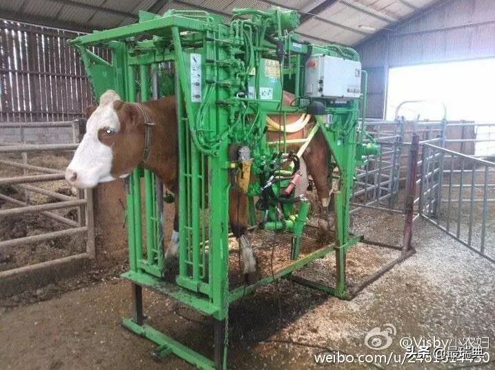 森宝奶粉80年——哺育一代代瑞典人