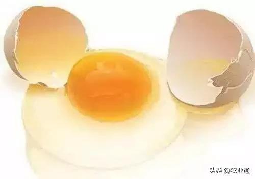 家庭防治虫害的最佳方法,自制蔬菜种植除虫小妙招