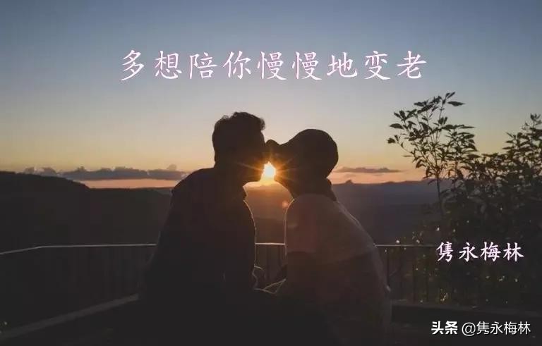 多想陪你慢慢的变老有声小说,多想陪你慢慢变老完整版