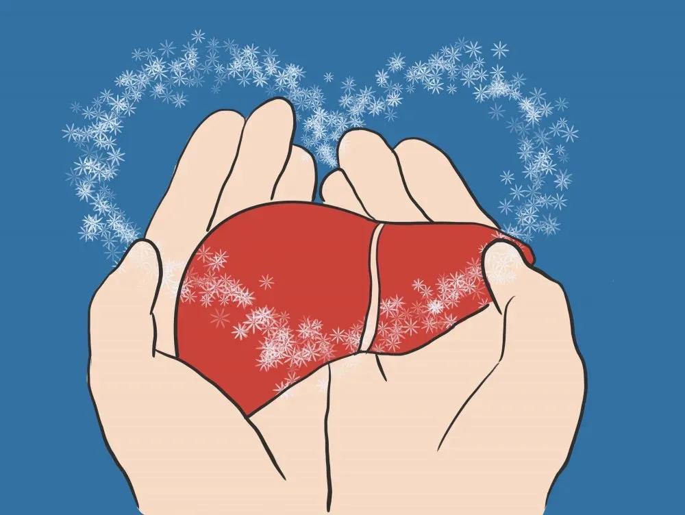 明明不胖为什么有脂肪肝,我不胖为什么血脂高