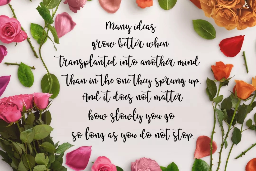 最好看的十种英文手写字体,超好看的英文字体大全