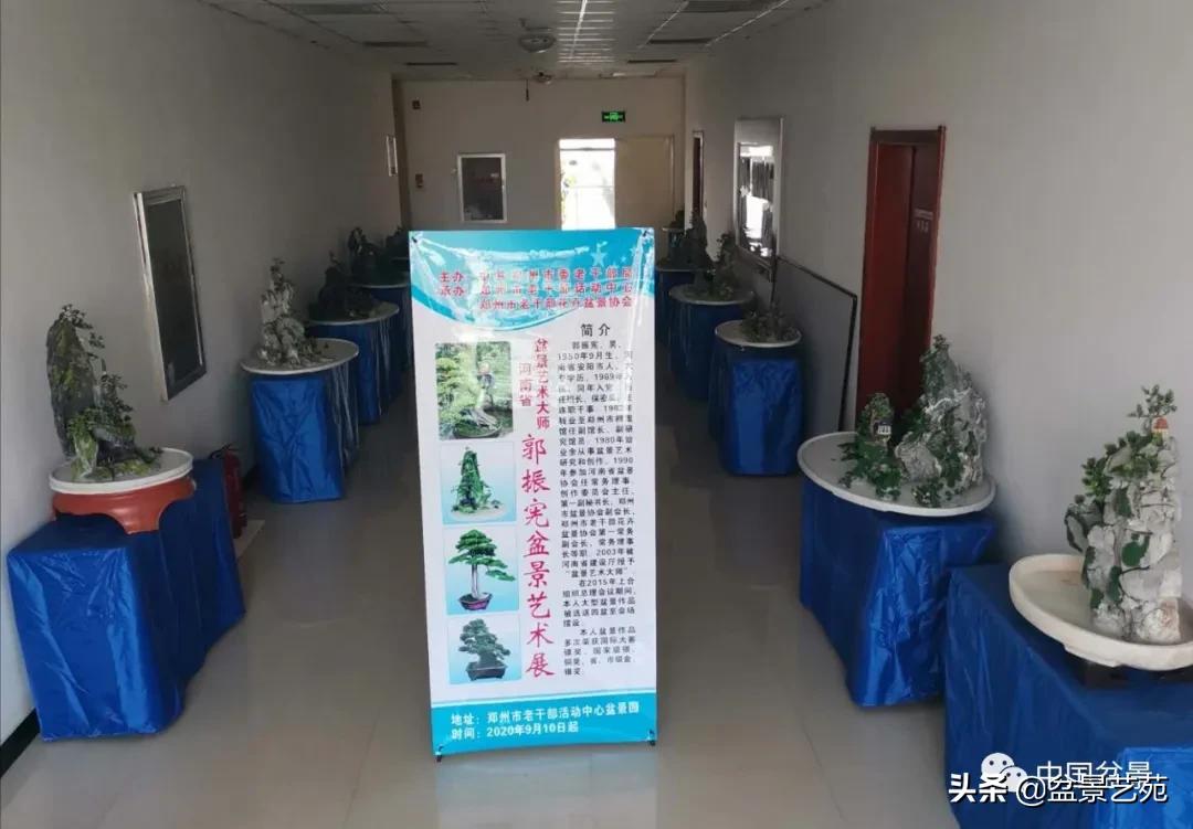 涓浗钁楀悕鐩嗘櫙澶у笀绮惧搧鐩嗘櫙,鐩嗘櫙鑹烘湳瀹跺拰鐩嗘櫙鑹烘湳澶у笀