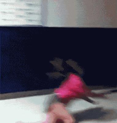 不作死不会死搞笑片段,不作死就不会死搞笑小视频