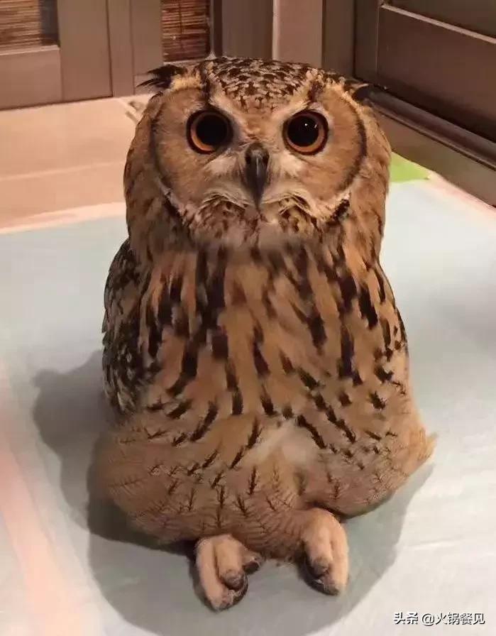 一家串串店年利润,开一家串串店一年利润回报