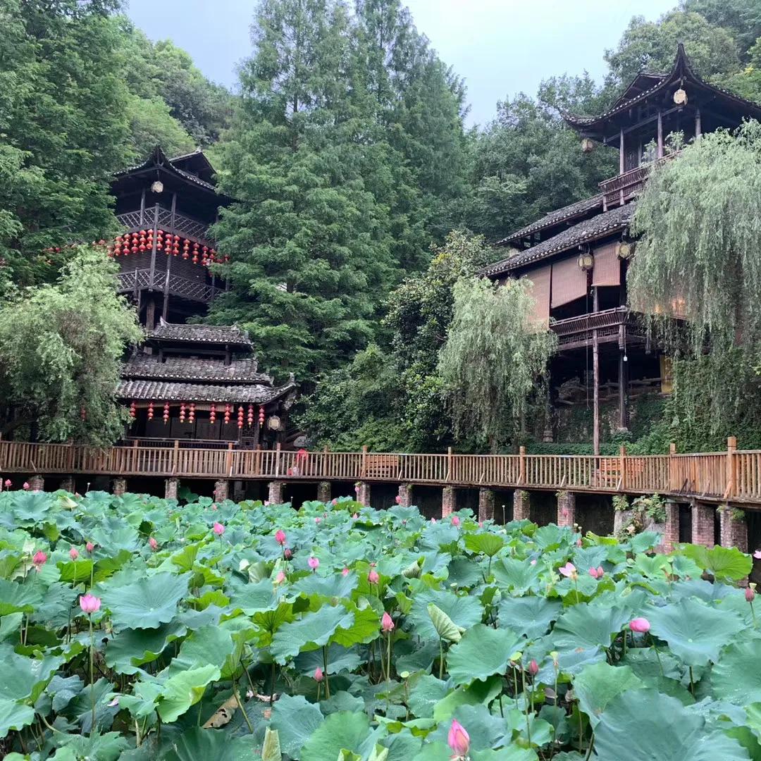 *疆新**甜品师乐乐：我才不要做一个搅拌棒和打蛋机