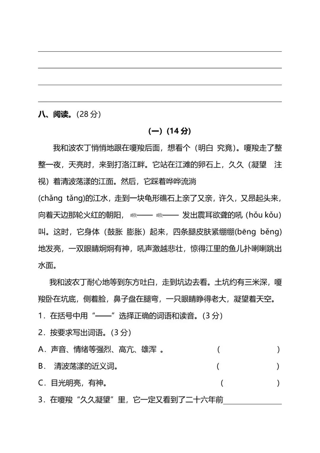 小学六年级数学期末试卷,六年级期末测试卷2022年答案