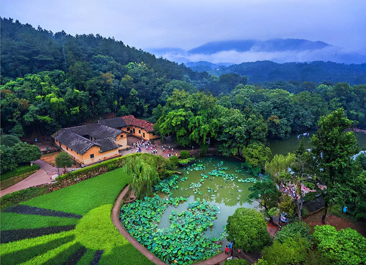 毛主席看到与母亲的合影,激动地用土话问道:咯是从哪里拱出来的
