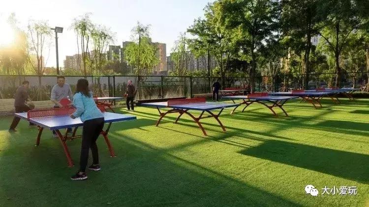 免费公园滑梯,六支沟滑滑梯公园