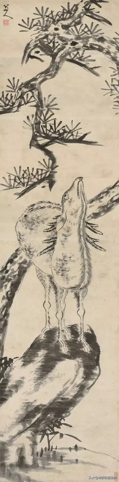 八大山人鹿图,八大山人松鹿图赏析