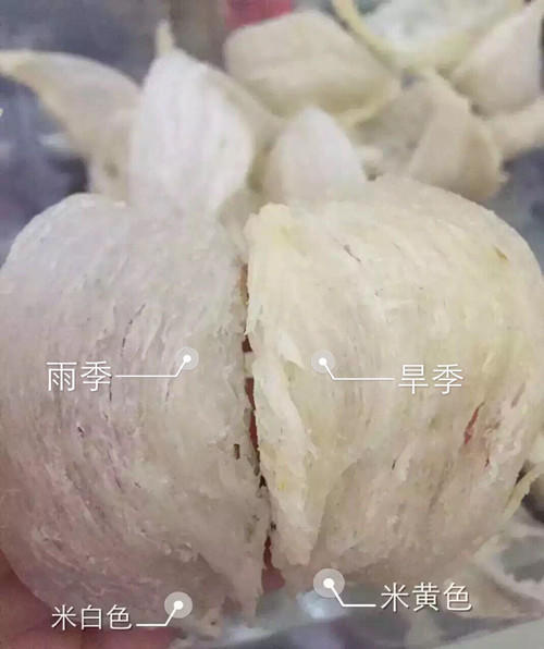 印尼燕窝跟马来燕窝哪个好,sohealthy燕窝是印尼燕窝吗