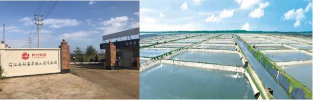 丁酸梭菌能快速修复肠道吗,丁酸梭菌在水产中有什么作用