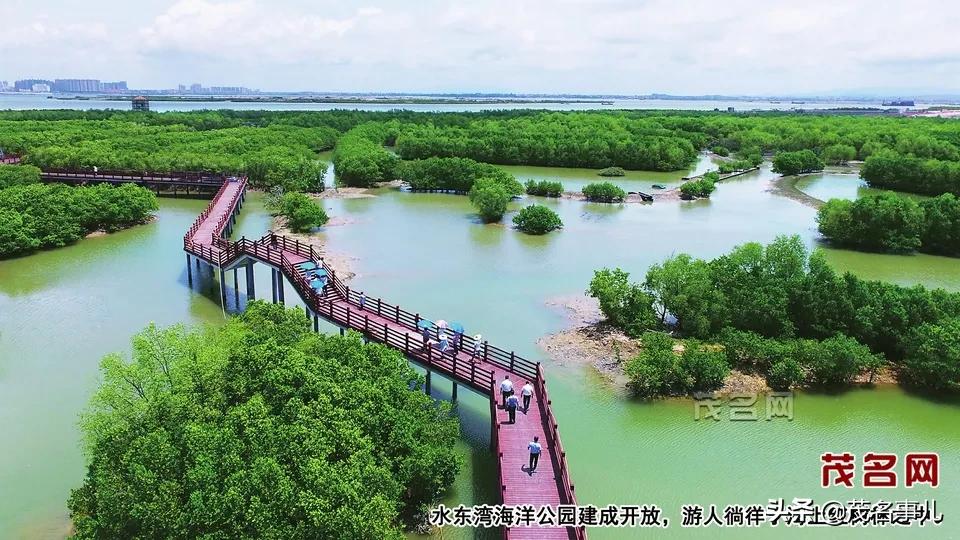 用一波海量美图，来揭秘正在偷偷变美的茂名