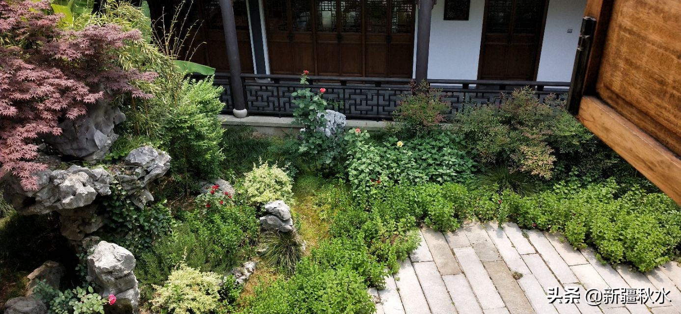 练塘古镇值得去吗,练塘古镇要门票吗