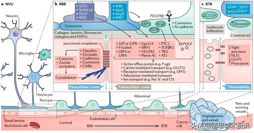 硅量子点和碳量子点,石墨烯量子点溶液形态