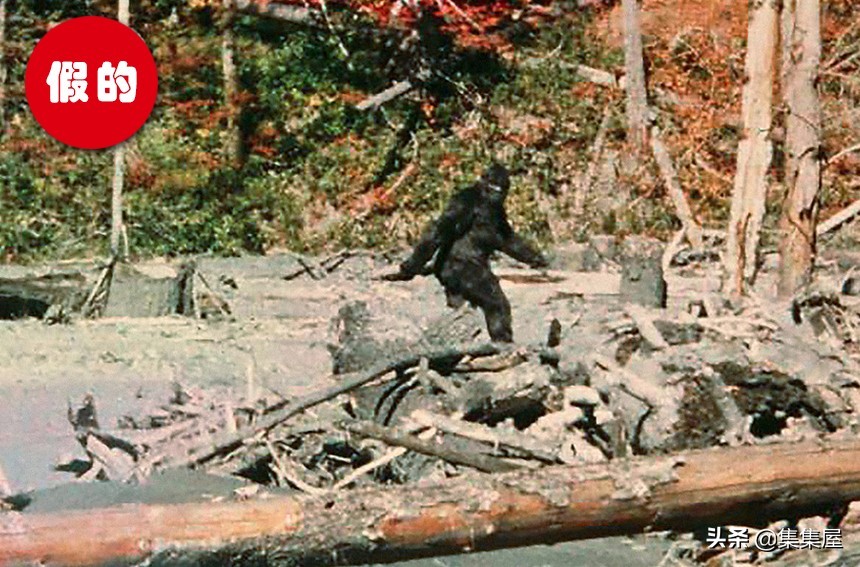 12张难以置信的老照片,一张难以置信的老照片