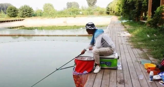 疫情下的农村项目,疫情农村创业