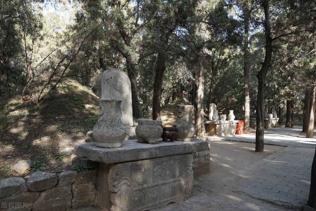 典故诗话258食蔗从梢佳境渐入