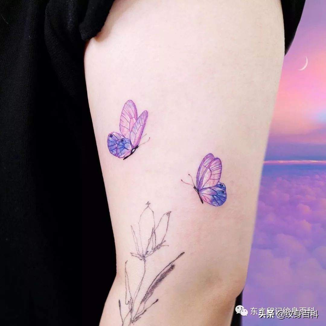 蝴蝶纹身图案代表什么,代表自由的蝴蝶纹身