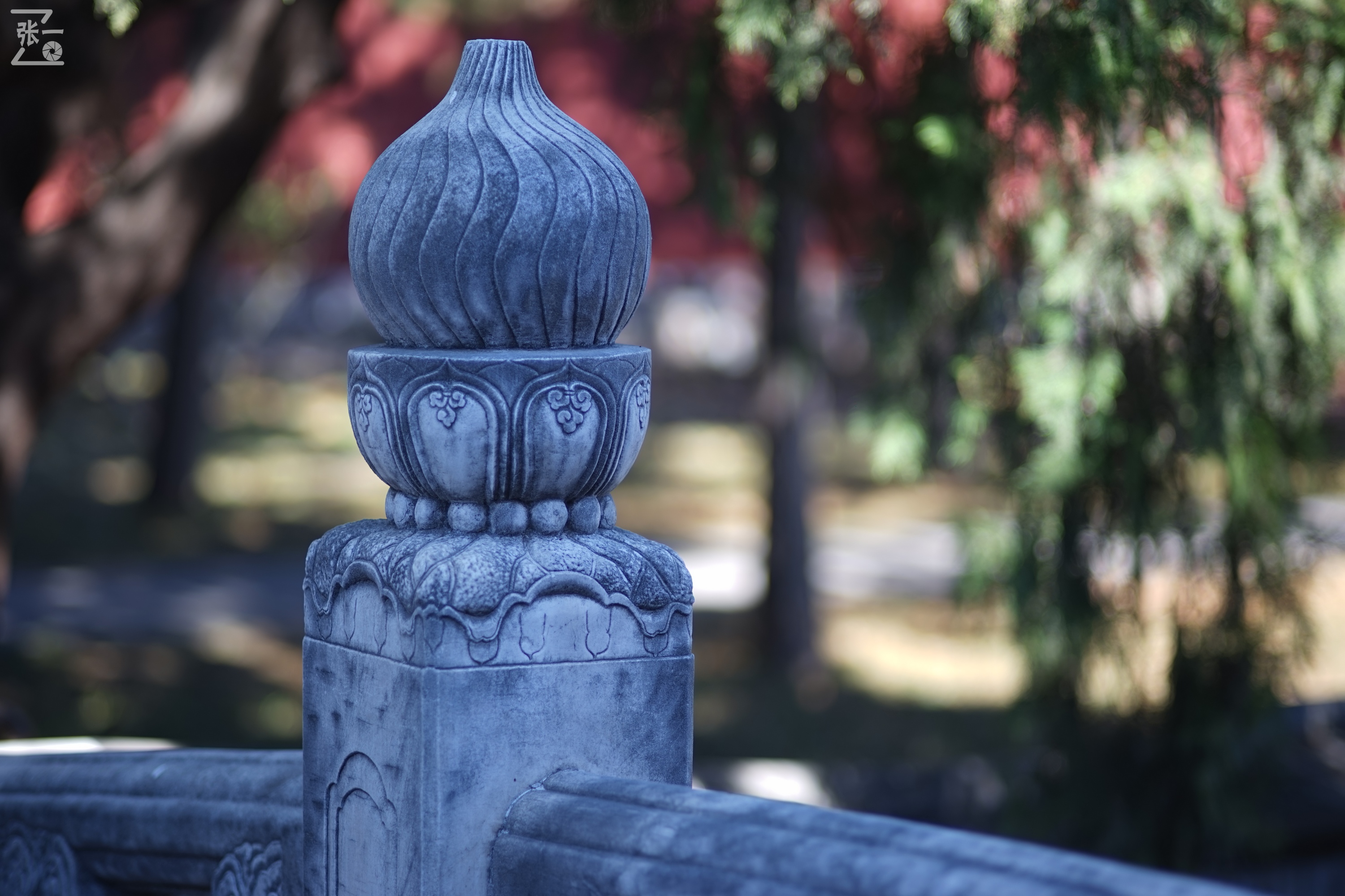 日本老镜头,canon老相机曝光