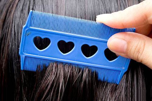 为什么会得阴虱虫,为何有人身上会长阴虱