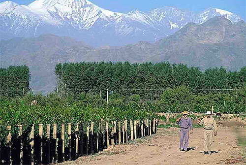 轩尼诗是lvmh集团旗下品牌吗,轩尼诗是lvmh旗下的吗