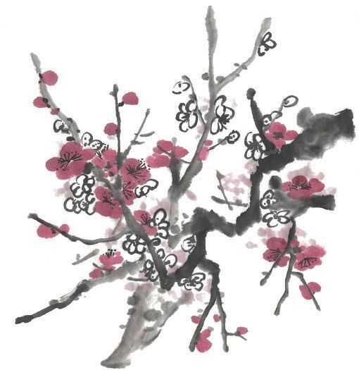 零基础梅花花朵入门画法,零基础学国画梅花入门步骤