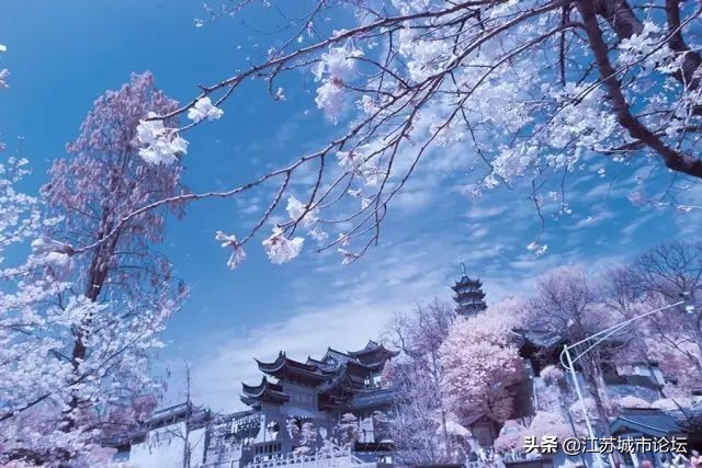 台湾学生拍电影,台湾学生南京