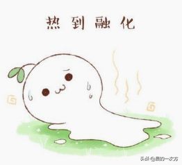 家用电烤箱小知识,小科普一些有用的健康小知识